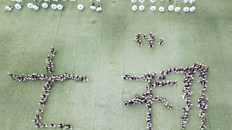 调整大小 QQ图片20181026174010.jpg